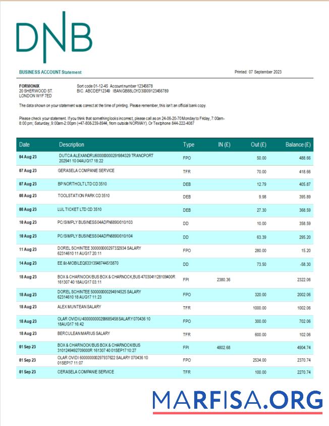 Downloadable DNB Bank firm account statement Word and PDF template